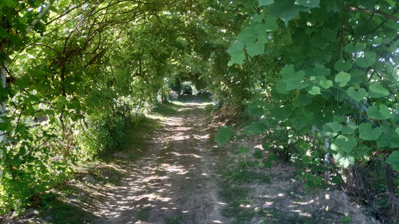 Działka rekreacyjna Będziemyśl. Zdjęcie 3