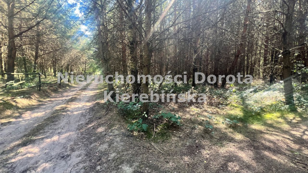 Działka rolna Wale. Zdjęcie 8