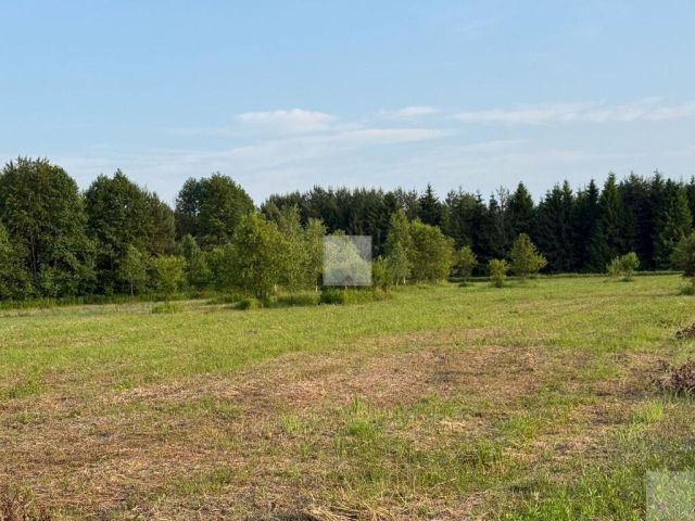 Działka rekreacyjna Radawa, ul. Cienkie. Zdjęcie 16