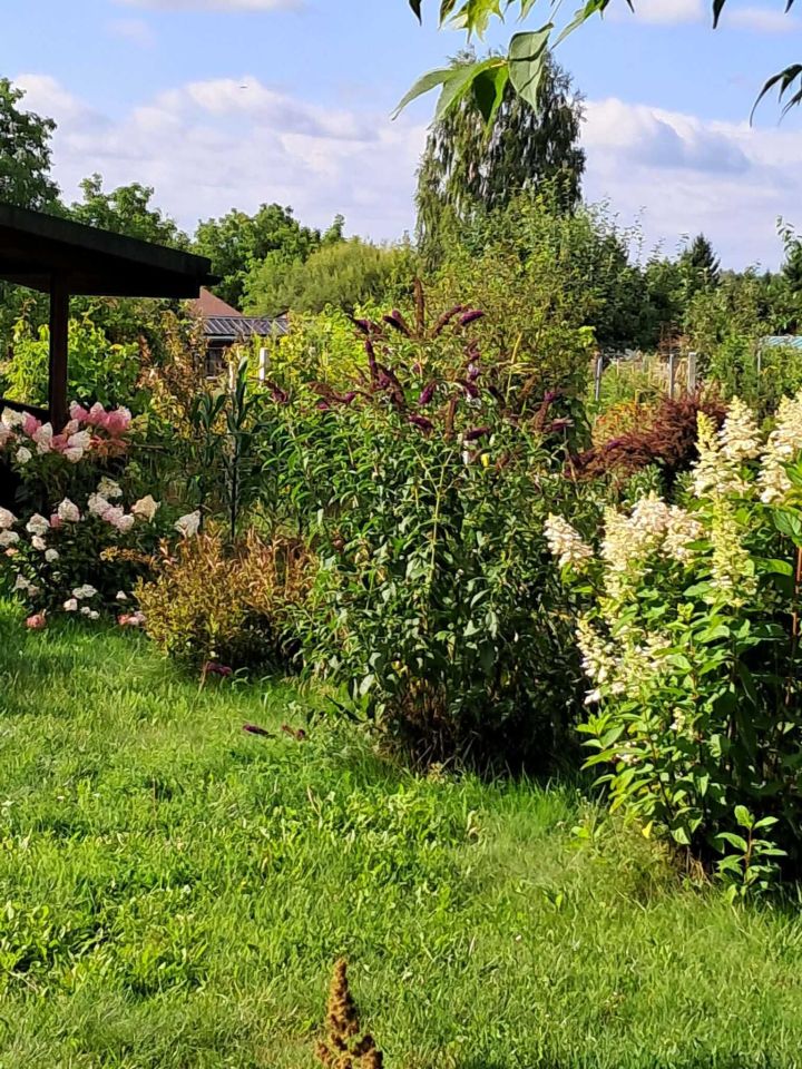 Działka rod Zamość, ul. Czesława Miłosza. Zdjęcie 2