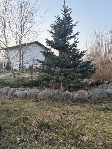 dom wolnostojący Wojcieszyce. Zdjęcie 1