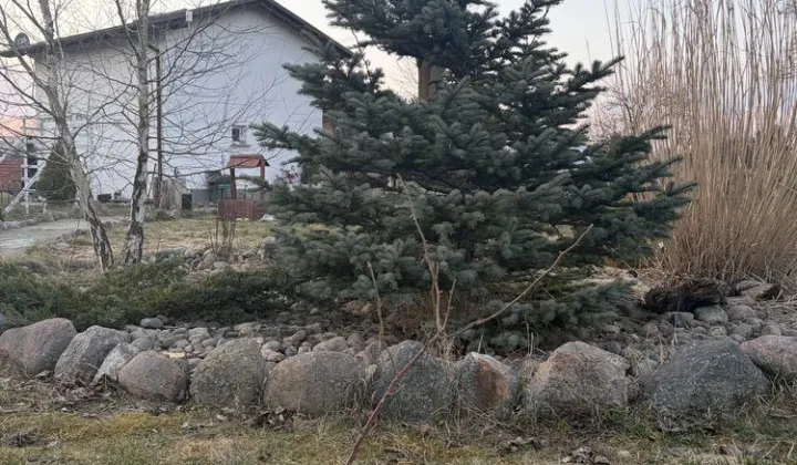 dom wolnostojący Wojcieszyce