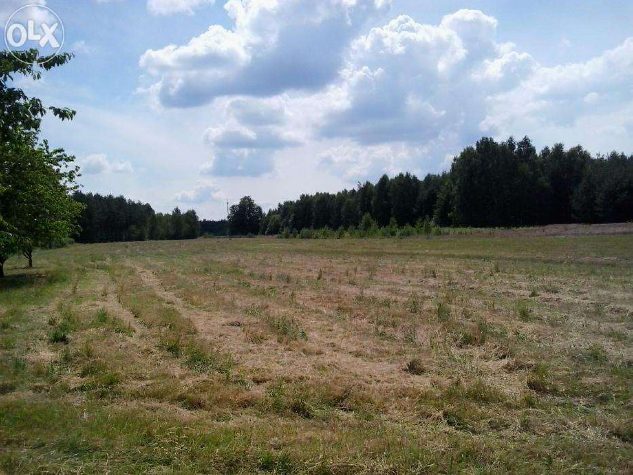 Działka rolna Redlanka. Zdjęcie 2