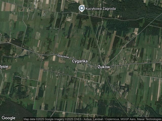 Działka leśna Cyganka. Zdjęcie 1