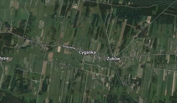 Działka leśna Cyganka, Leśna
