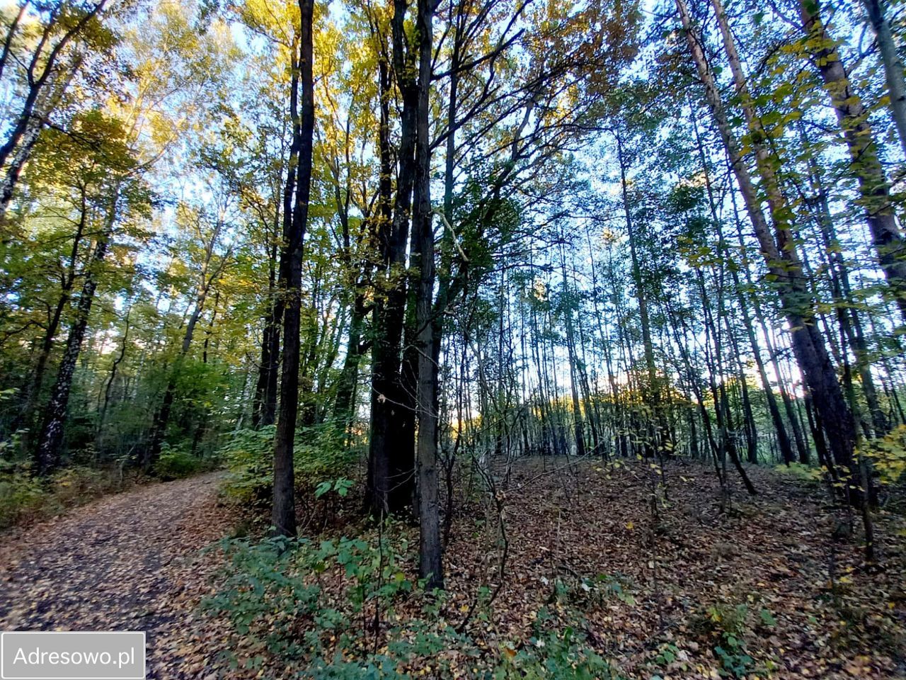 Działka inna Mysłowice Wesoła, ul. Zacisze. Zdjęcie 11