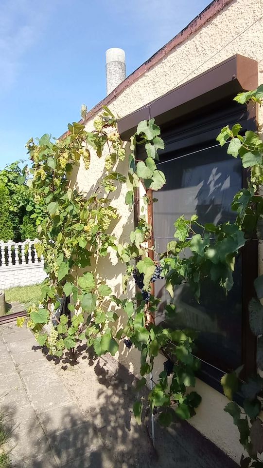 Działka rod Pleszew, ul. Bałtycka. Zdjęcie 1