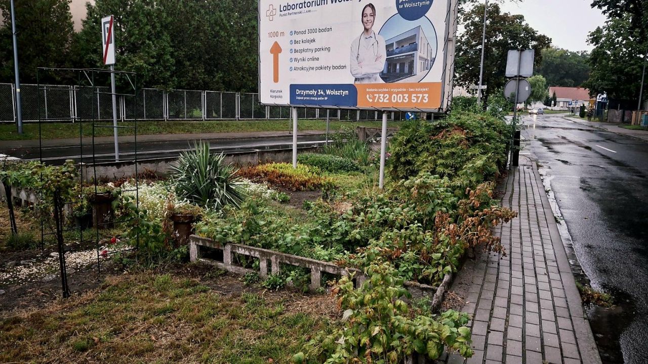 Działka inwestycyjna Wolsztyn, ul. Strzelecka. Zdjęcie 7
