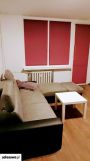 Mieszkanie 7-pokojowe Zielona Góra Centrum, ul. Lisia. Zdjęcie 3