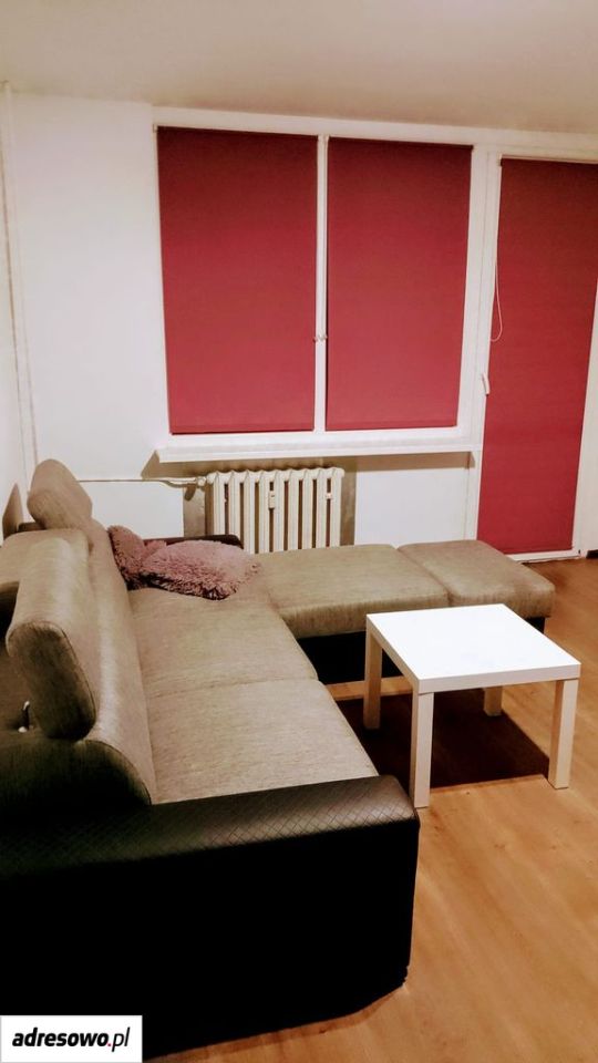 Mieszkanie 7-pokojowe Zielona Góra Centrum, ul. Lisia. Zdjęcie 4