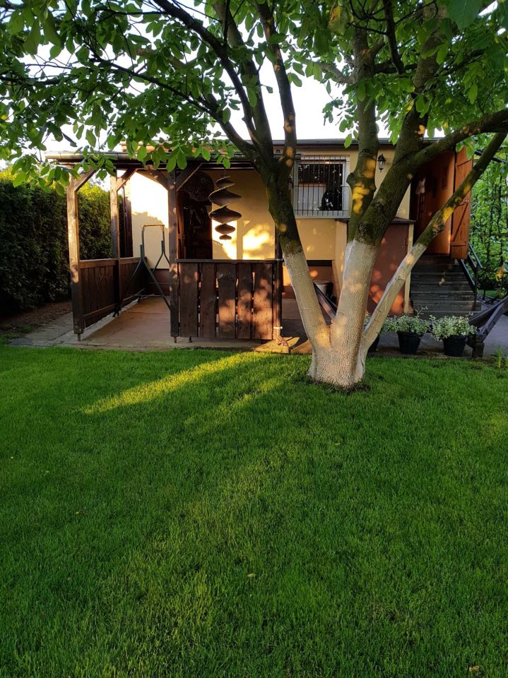 Działka rekreacyjna Wąbrzeźno. Zdjęcie 1