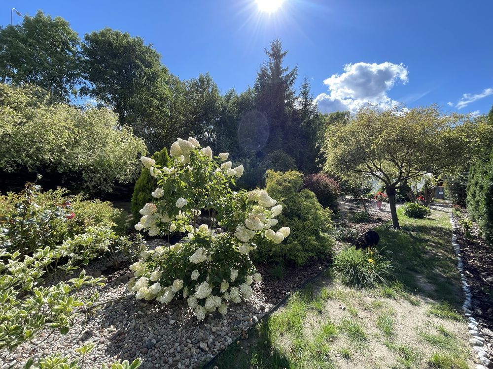 Mieszkanie 4-pokojowe Orchowo, ul. Dworcowa. Zdjęcie 6