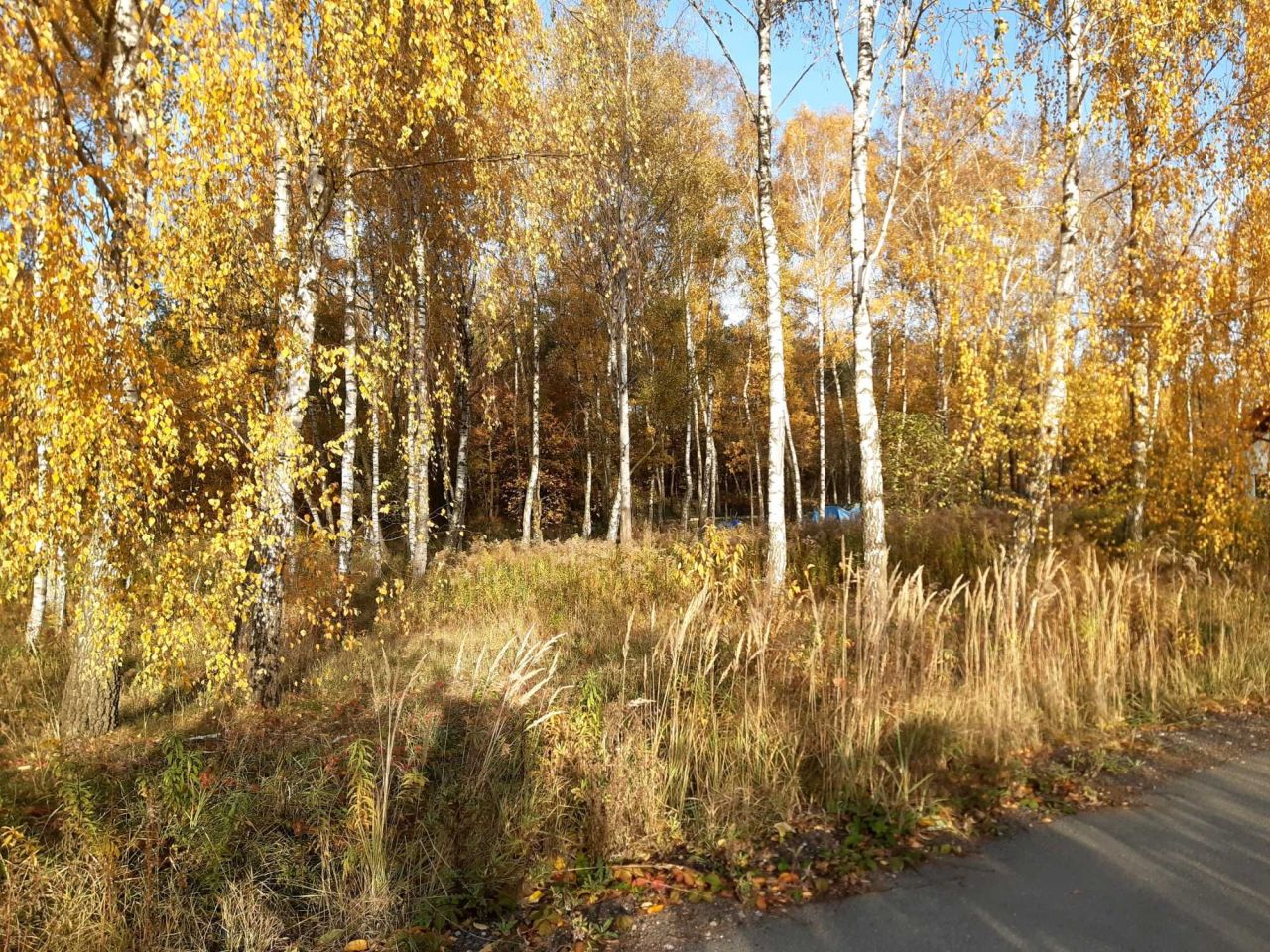 Działka budowlana Bukowiec, ul. Bukowa. Zdjęcie 4