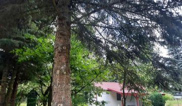 dom letniskowy, 1 pokój Grabniak