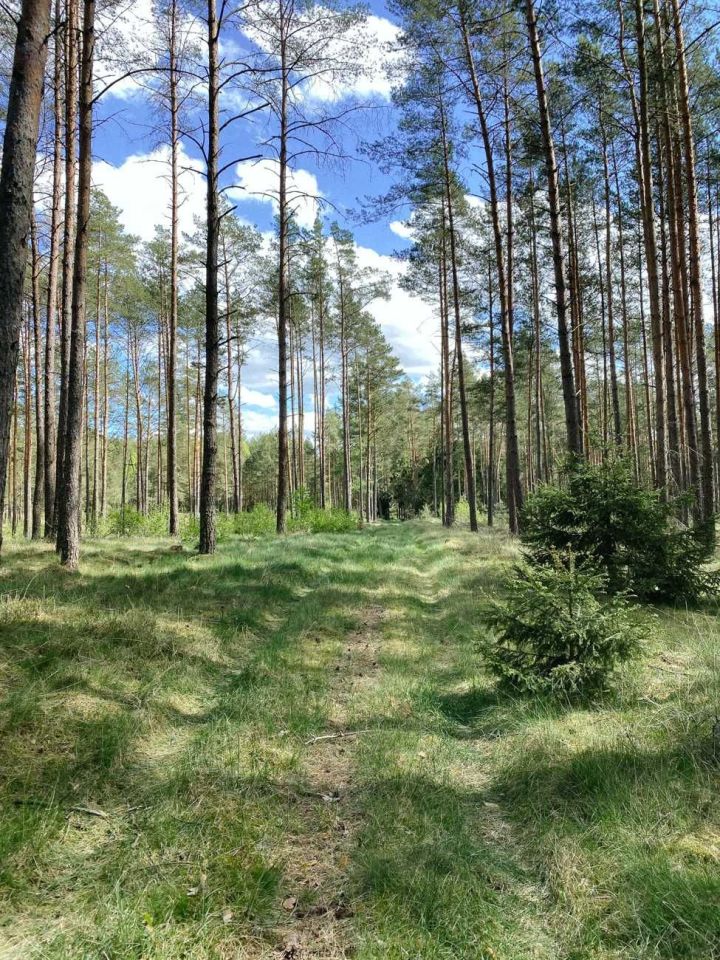 Działka budowlana Małe Chełmy. Zdjęcie 3