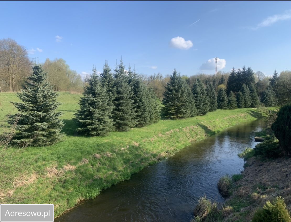 Działka budowlana Dobiegniew, ul. Gdańska. Zdjęcie 4