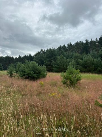 Działka budowlana Smołdzino. Zdjęcie 8