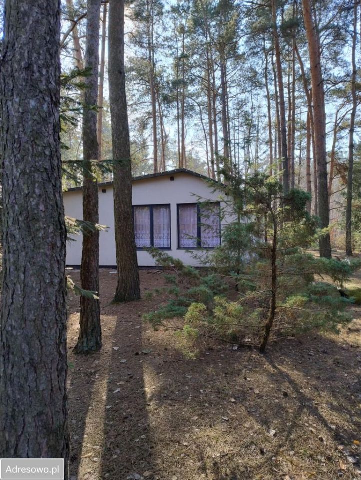 Działka rekreacyjna Franciszków. Zdjęcie 3