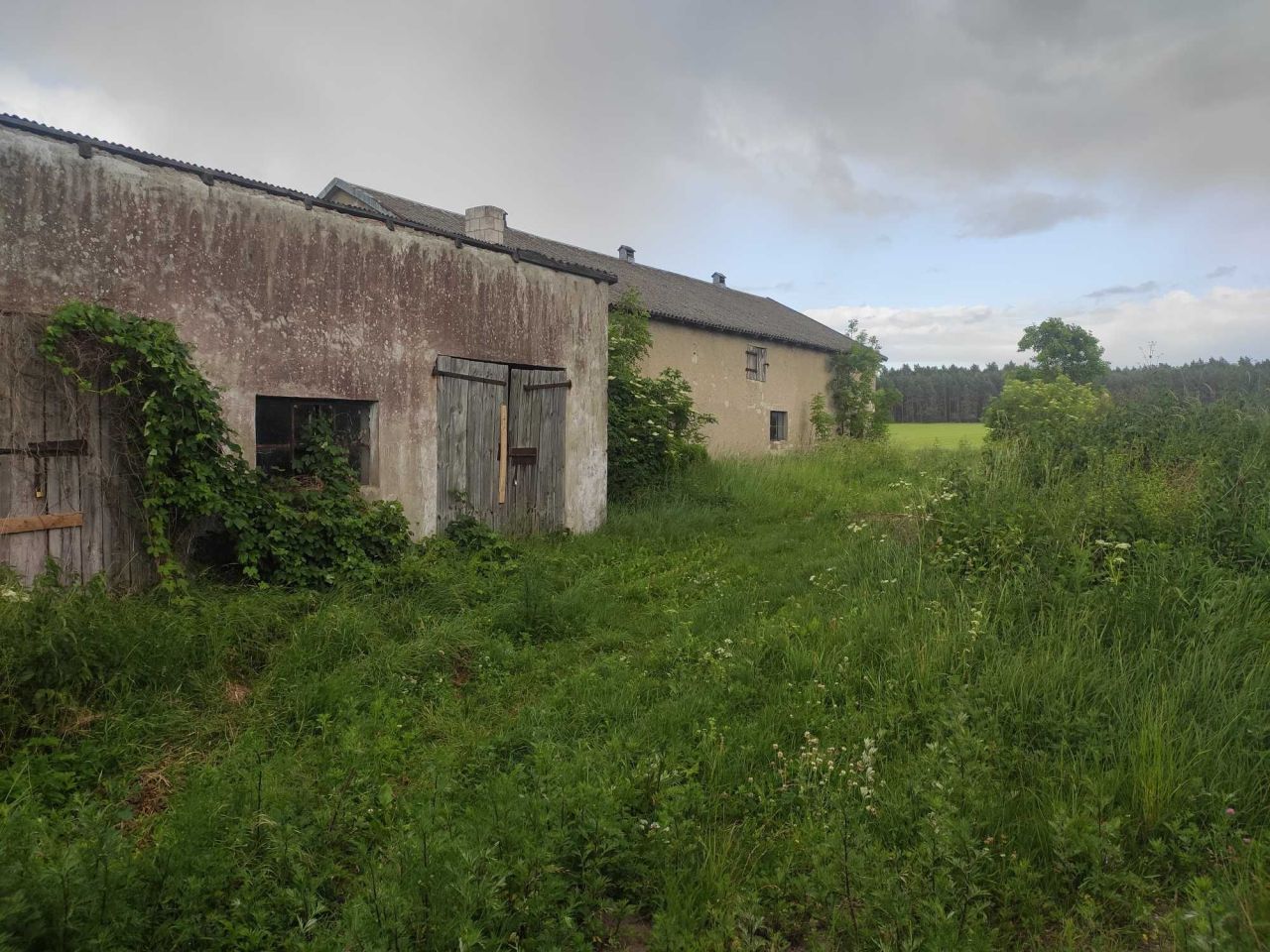 gospodarstwo, 3 pokoje Gierłoż Polska. Zdjęcie 7