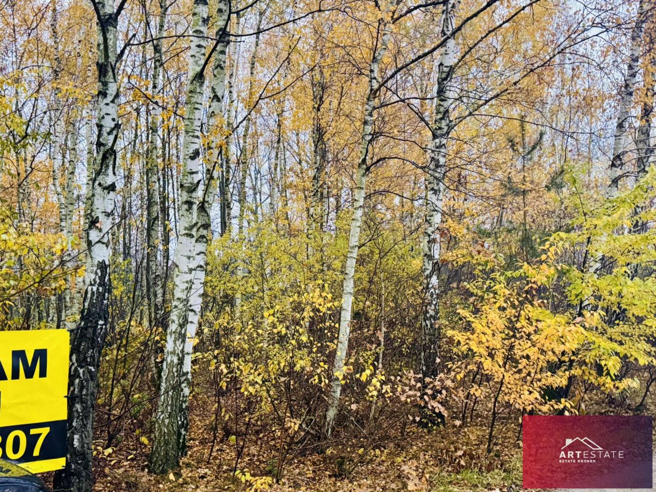 Działka budowlana Słowak. Zdjęcie 5