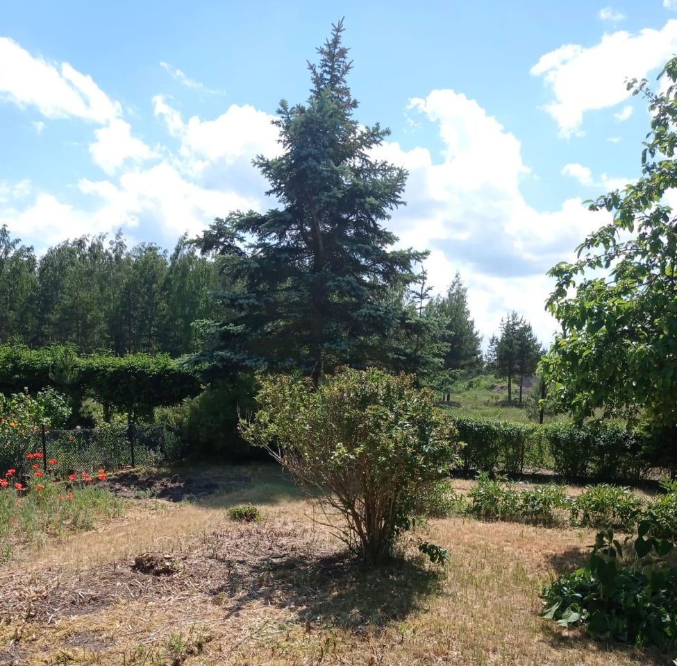 Działka rod Ełk POHZ, Suwalska. Zdjęcie 8