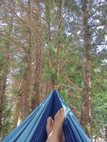 Działka leśna Ciasne, ul. Zielona. Zdjęcie 1