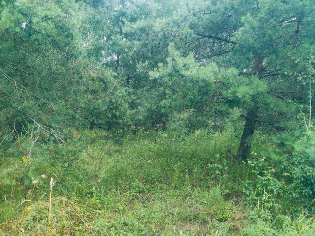 Działka rekreacyjna Trelkowo. Zdjęcie 1