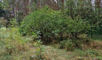 Działka budowlana Pogorzelec