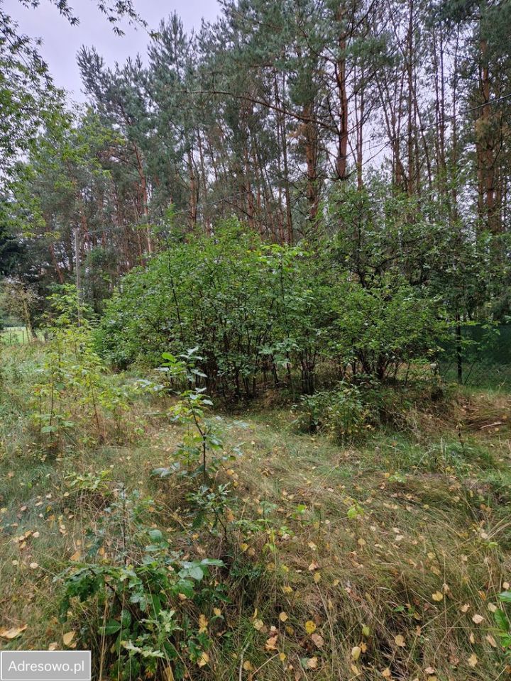 Działka budowlana Pogorzelec. Zdjęcie 2