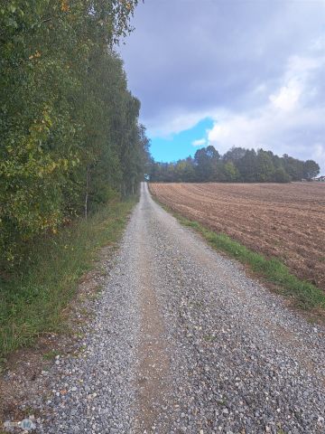 Działka siedliskowa Sędek. Zdjęcie 8