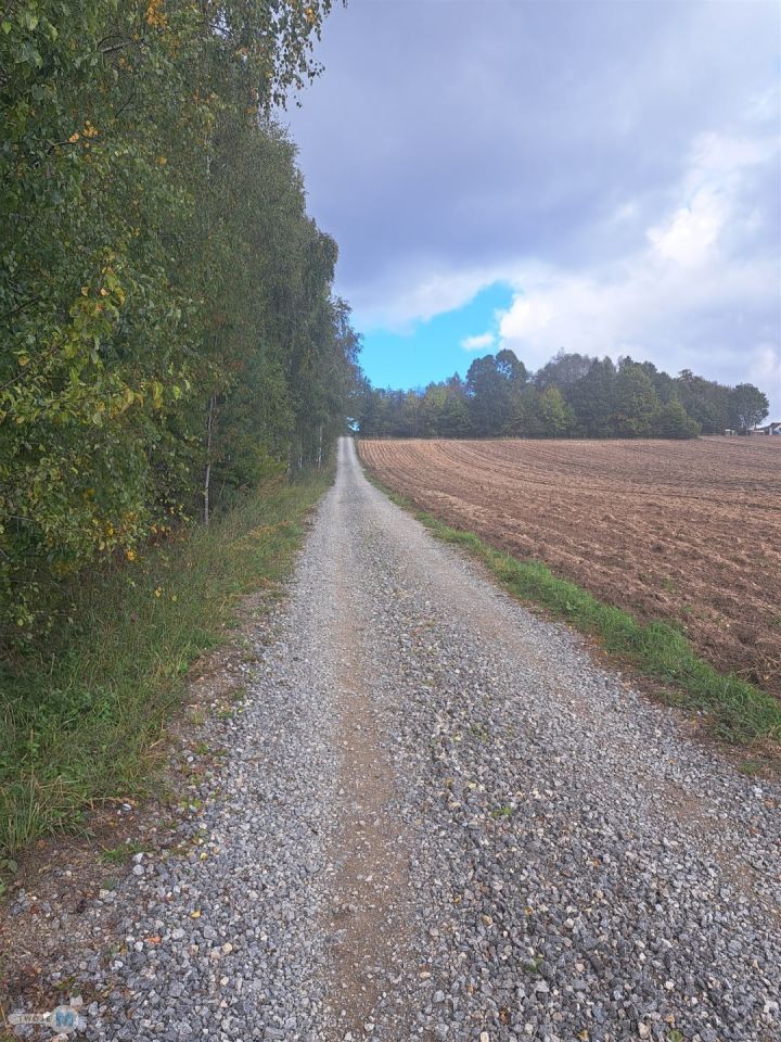 Działka siedliskowa Sędek. Zdjęcie 8
