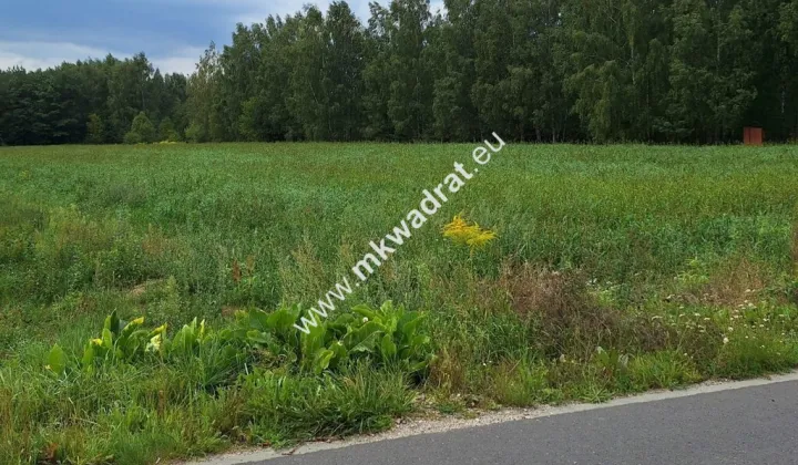 Działka budowlana Suchy Las