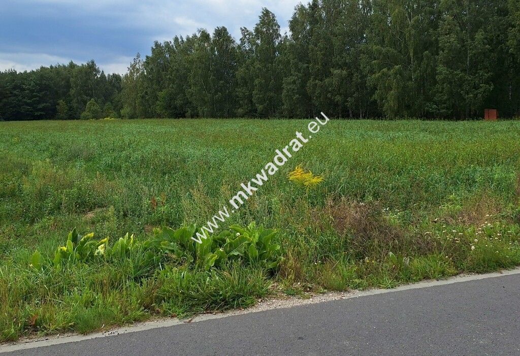 Działka budowlana Suchy Las. Zdjęcie 1