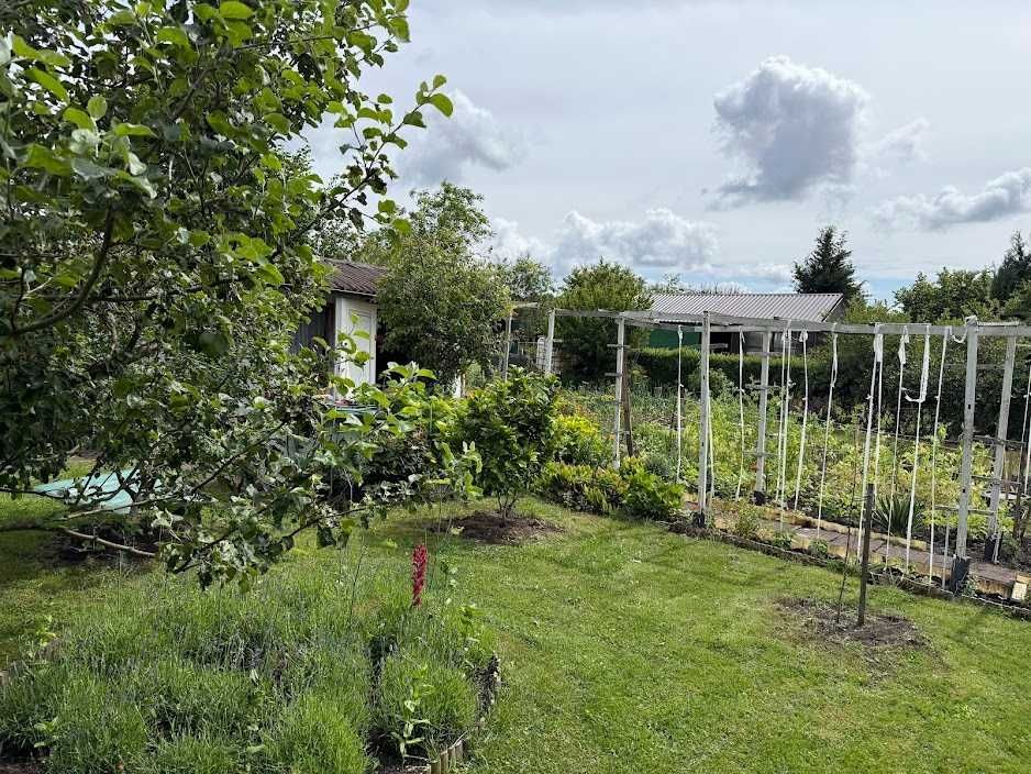 Działka rod Szczecinek. Zdjęcie 4