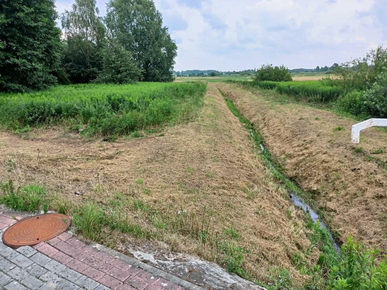 Działka rekreacyjna Turza. Zdjęcie 4