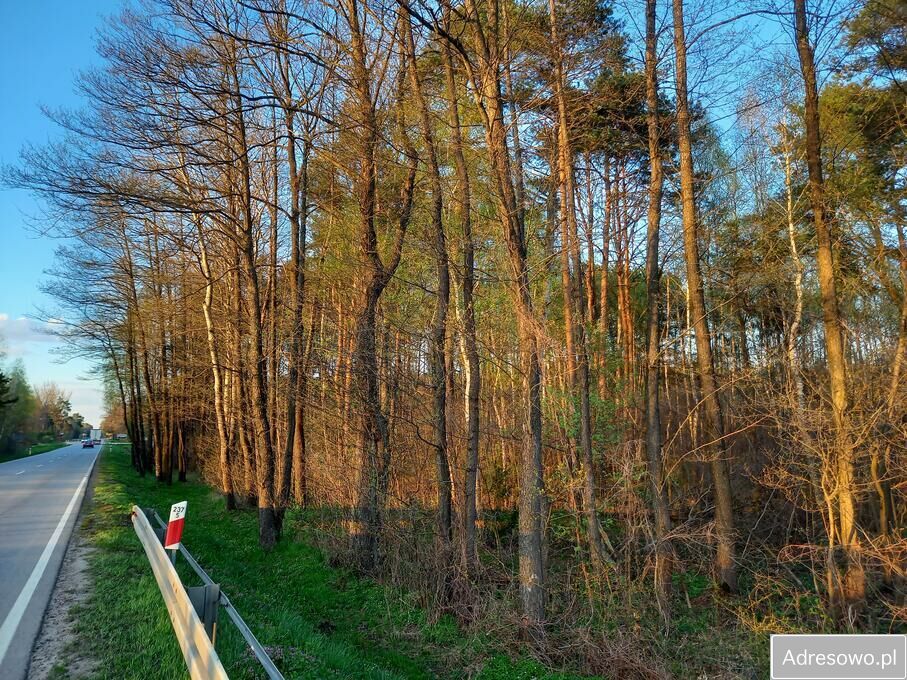 Działka inwestycyjna Kąty Czernickie. Zdjęcie 4