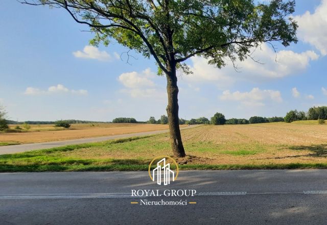 Działka rolna Rudno. Zdjęcie 6