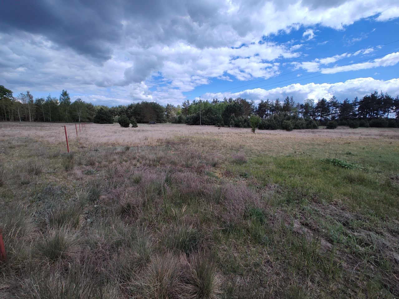 Działka budowlana Tarkowo Dolne, ul. Gawronia. Zdjęcie 2