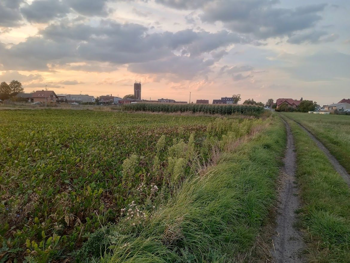 Działka rolno-budowlana Gliwice Ostropa, ul. Ignacego Daszyńskiego. Zdjęcie 9