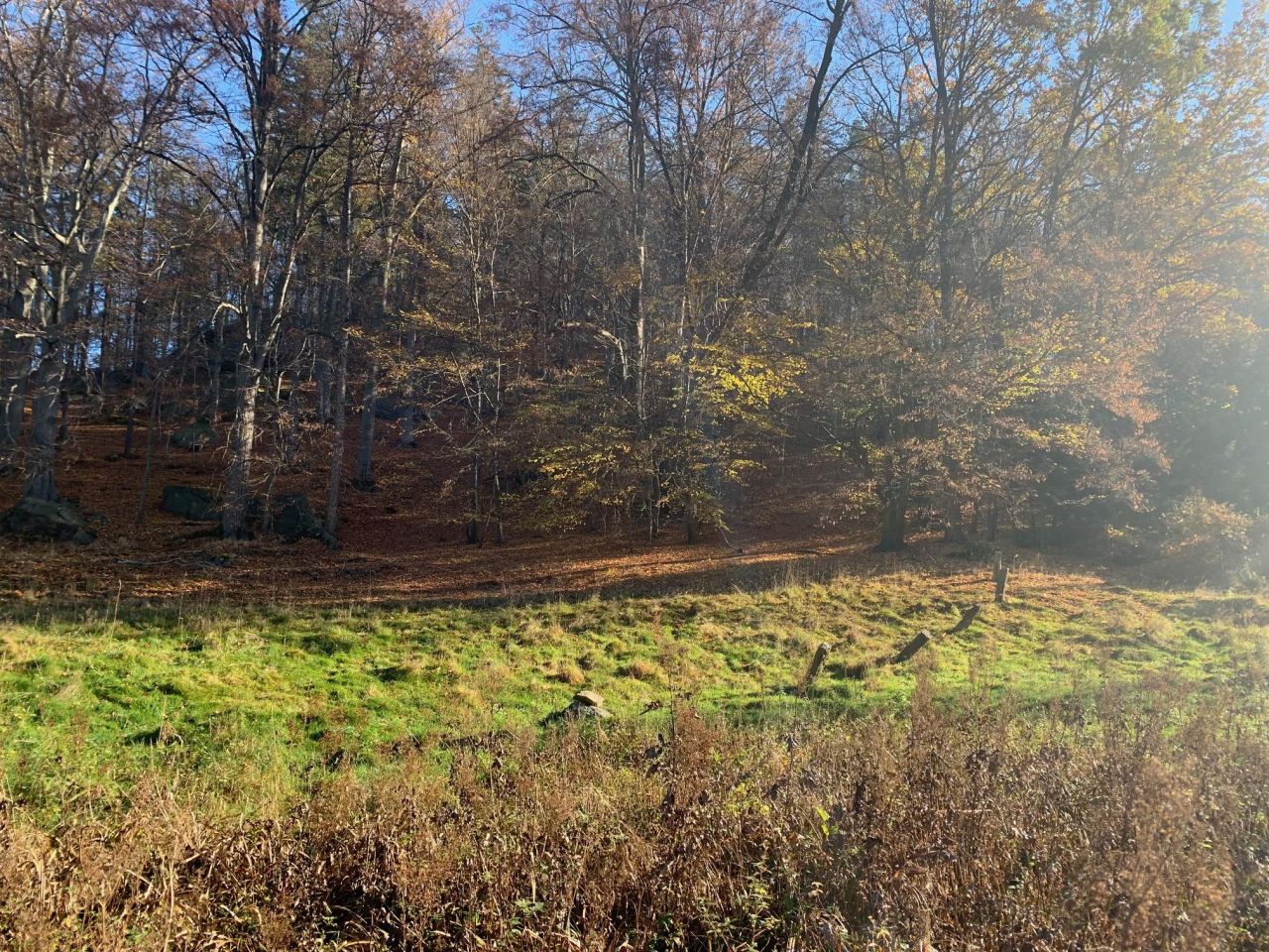 Działka budowlana Staniszów, ul. Witosza. Zdjęcie 4