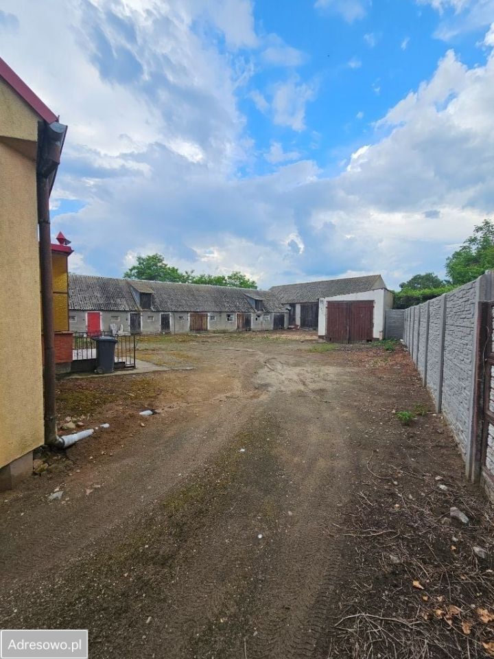 gospodarstwo, 3 pokoje Czeszewo. Zdjęcie 6
