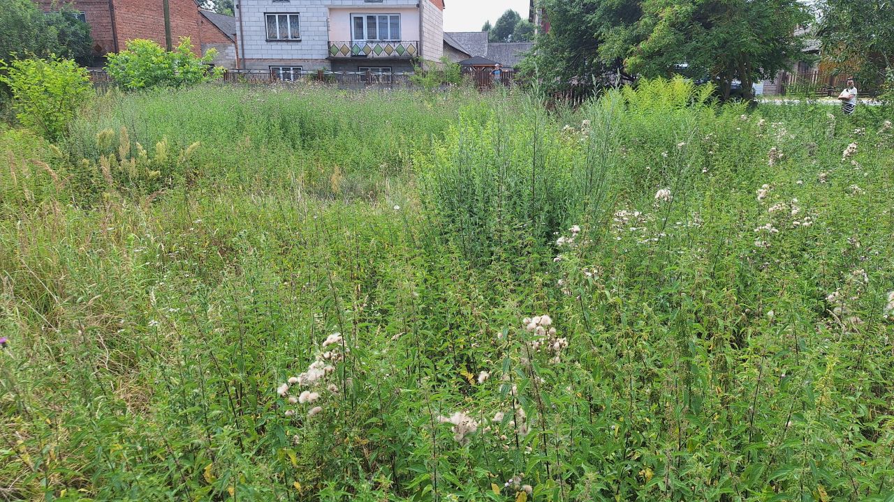 Działka rolno-budowlana Pągów. Zdjęcie 6