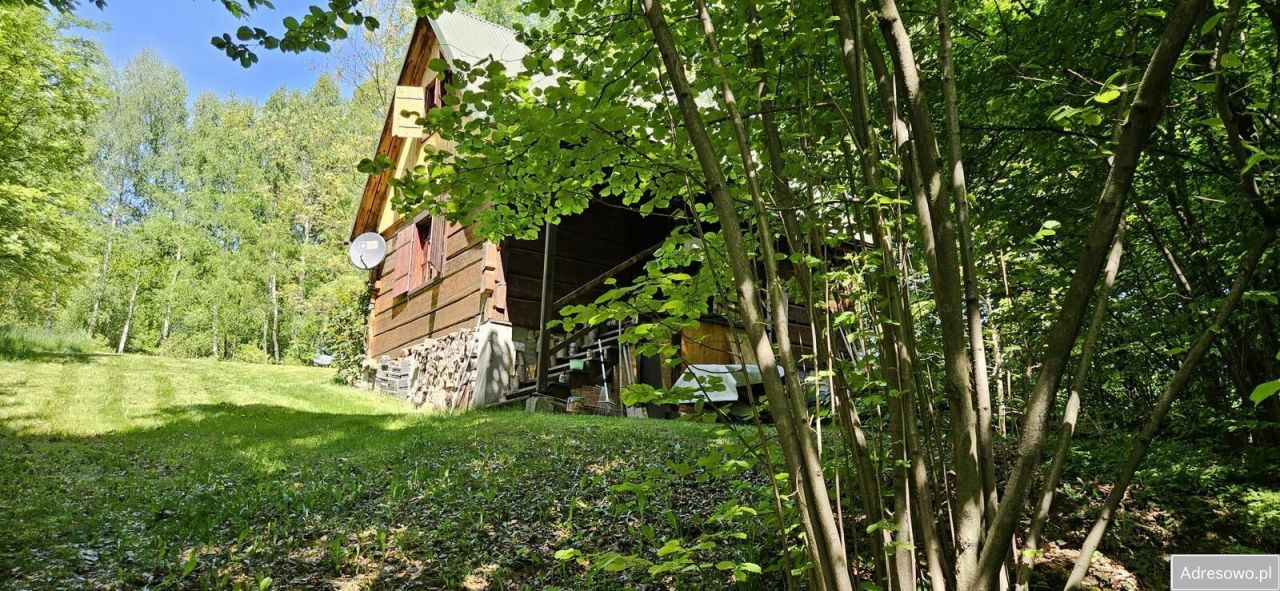 Działka rekreacyjna Czułów. Zdjęcie 7