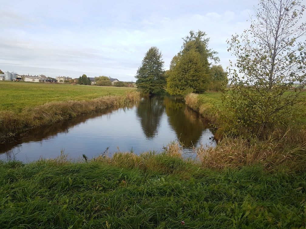 Działka rolna Runowo Krajeńskie. Zdjęcie 5