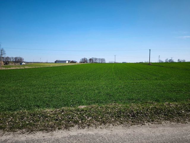 Działka rolno-budowlana Osipy-Lepertowizna. Zdjęcie 1