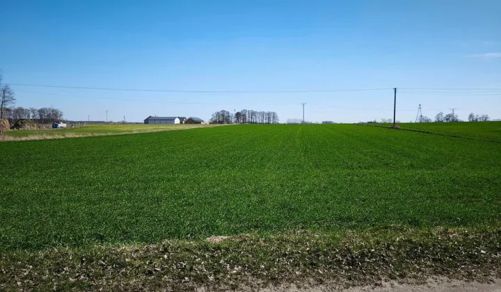 Działka rolno-budowlana Osipy-Lepertowizna