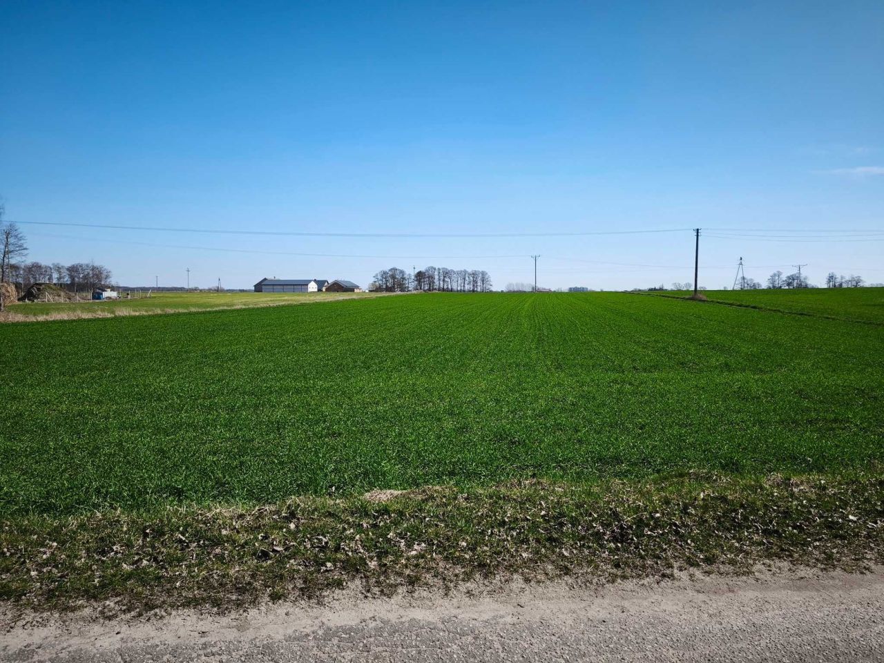 Działka rolno-budowlana Osipy-Lepertowizna