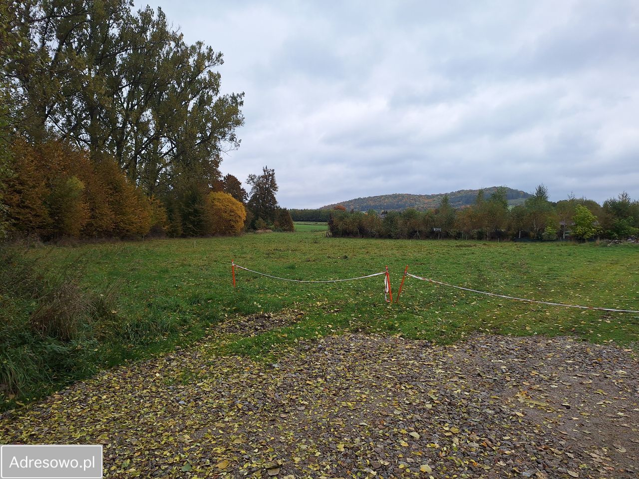Działka rolna Siedlęcin, ul. Kościelna. Zdjęcie 7