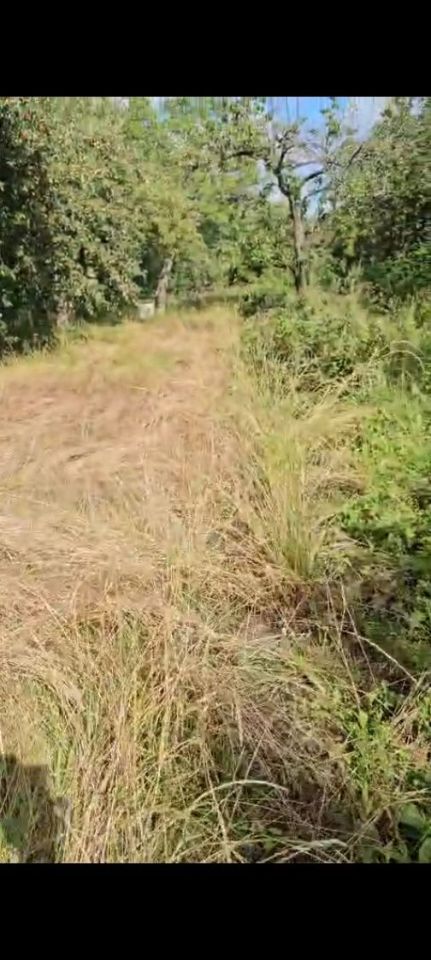 Działka rod Trzebiatów. Zdjęcie 5