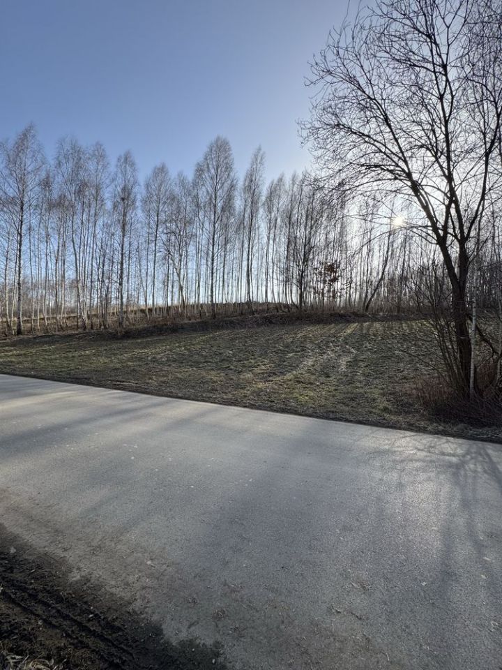 Działka rolna Płouszowice. Zdjęcie 3